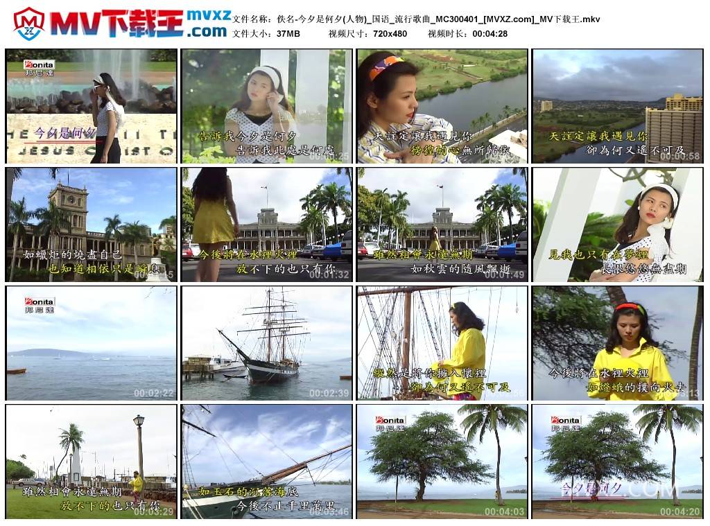 佚名-今夕是何夕(人物)_国语_流行歌曲_MC300401